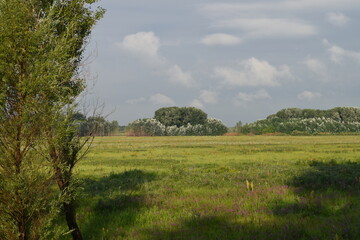 Trees, fields, grass, river collection