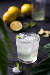 pour a semi-transparent drink into a glass containing ice cubes. Summer refreshing drink in a glass with ice around the greenery