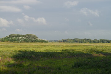 Trees, fields, grass, river collection
