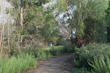 Trees, fields, grass, river collection