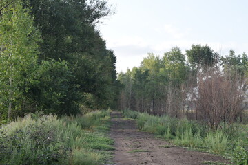 Trees, fields, grass, river collection
