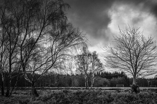 Woodland sports ground - Warren Heath - Berkshire