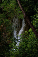 waterfall in the forest