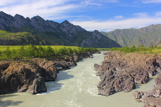 view from the bridge to the katun river in mountain altai