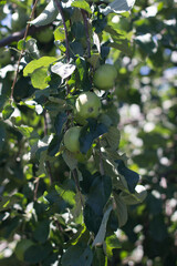 Another month and you can eat