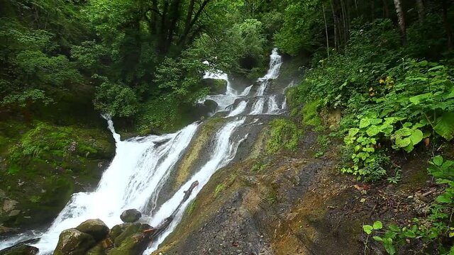 HD Beautiful Wild Waterfall Flow Landscape In Deep Caucasian Mountain Green Tree Forest In Georgia