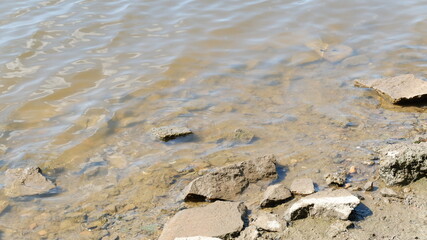 river Bank in summer