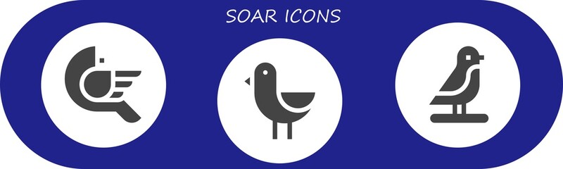 soar icon set