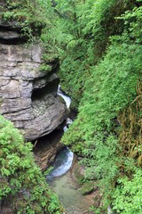 stream in the forest, dangerous rock