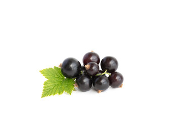 Ribes nigrum, blackcurrant fruit and leaves isolated on white