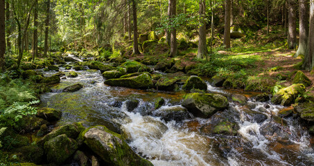 Grüner Bach im Waldviertel