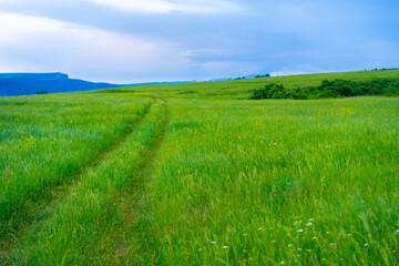 Obraz premium The path that goes beyond the horizon