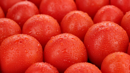 fresh red tomatoes with water drops closeup