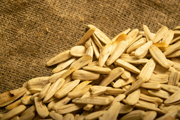 White sunflower seeds fried with sea salt in bulk on a background of coarse-textured burlap. Close up.