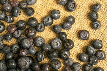 Blueberries scattered on a background of homespun fabric with a rough texture. Close up.