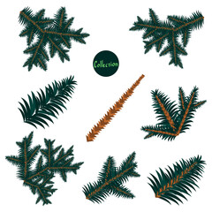 Fototapeta na wymiar Set of branches from a Christmas tree. Build it yourself. Christmas tree, green needles. For the design of postcards, magazines, packers, websites, posters.