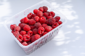 Raspberry on a white background