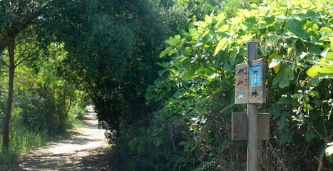 Wooden signage of the different trails that cross the Natural Park of s'Albufera