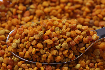 Propolis Blütenpollen Bienen