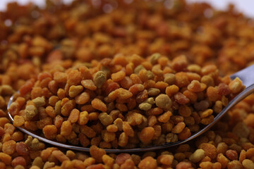 Propolis Blütenpollen Bienen