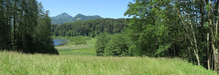 Am Bodensee-Königssee-Radweg: Zwischen Teisendorf und Siegsdorf