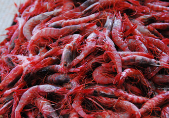 FOOD- Portugal- Close Up of Fresh Red Shrimp in a Market