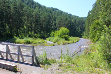 Fototapeta premium wooden bridge and river on a forest background