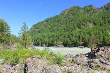 Fototapeta na wymiar turquoise mountain river along the mountains