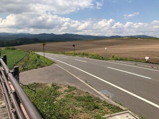 北海道田園の道