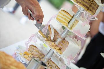 Bride and groom are cutting their wedding cake at wedding reception