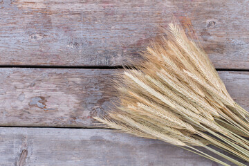 Fototapeta premium Sheaf of wheat ears, top view. Ripe wheat ears on vintage wooden boards. Space for text.