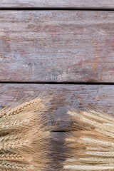 Wheat ears and copy space. Cereal ears on rustic wooden background.