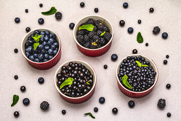 Assorted berries in blue and black colors: bilberry, blueberry, currant and blackberry