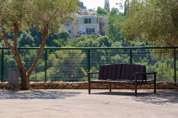 bench in the park on sunny day