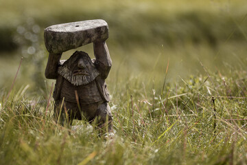 Troll in the grass