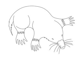 CHILDREN'S COLORING BOOK WITH A MOLE