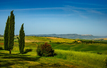 Obraz premium OLYMPUS DIGITAL CAMERA