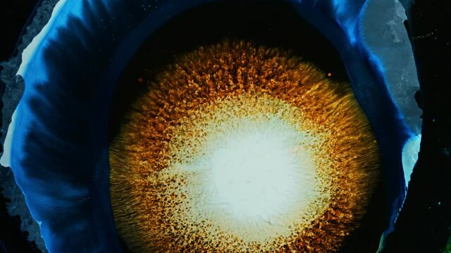 Black Hole sun solar flare reaction with liquid ink / Supernova nebula Cosmos