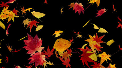 Autumn Flying leaves leaf 3D illustration background.
