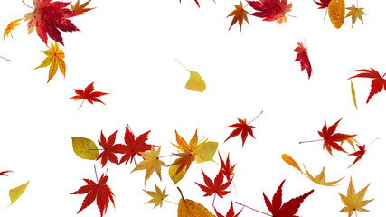 Autumn Flying leaves leaf 3D illustration background.