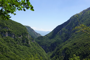 Green valley seen from above in summer