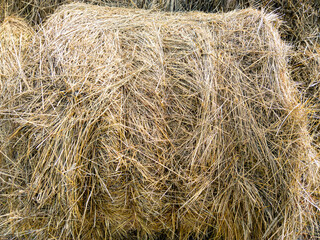 Close-up of hay stacked in rolls after harvesting.