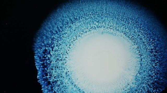Silver, Blue, and White sun solar flare reaction with liquid ink / paint drop stain on black background / oil bleed bloom / Big Bang explosion of supernova star 4K
