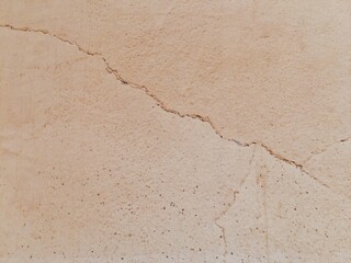 The background has traces of the wall