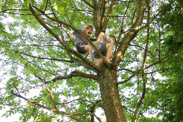 boy in dark sunglasses climbs tall tree, clings to thick branches, concept of summer relaxation, dangerous outdoor activities, childish mischief