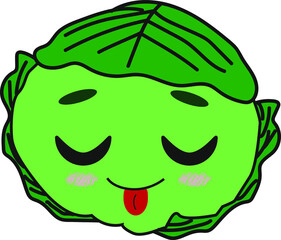 the best cabbage