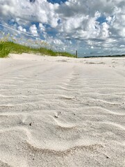 sand dunes on the beach