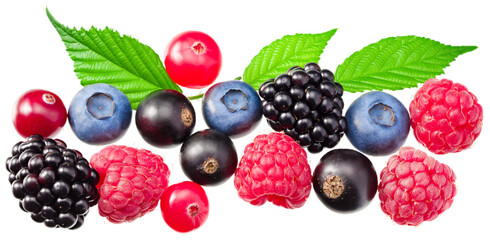mix of blueberry, blackberry, cranberry, raspberry with leaves isolated on white background. top view