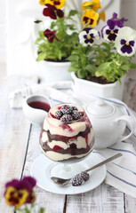 chocolate cake with berries