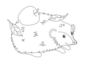 CHILDREN'S COLORING BOOK WITH A HEDGEHOG